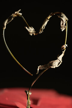 forma de coraz&oacute;n de alambre con restos de papel quemado