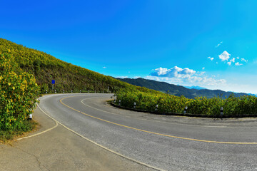 yellow sunflower in the mountains  (Thung Bua Tong Fields at Doi Mae U Kho) at Mae Hong Son Province,Thailand