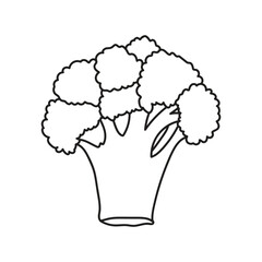 broccoli vegetable line art , broccoli icon ,broccoli vector illustration