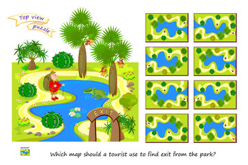 Top view puzzle. Which map should a tourist use to find exit from the park? Logic game for children and adults. 3D maze. Page for brain teaser book. Developing spatial thinking. IQ test. Flat vector.