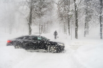 Black and white image of a heavy snowfall. Walking with a dog in bad weather on a city street. Snow storm in the city.