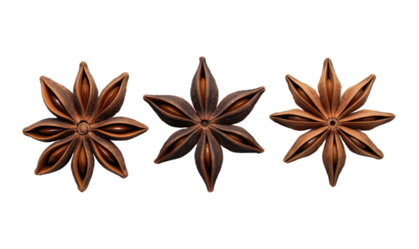 Three brown star shaped spices are shown in a row