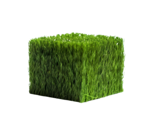 A green cube made of grass