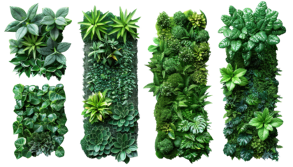 A row of plants with different sizes and shapes