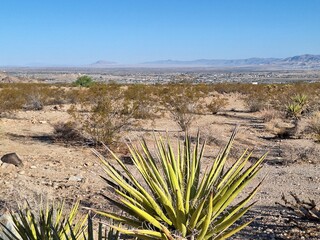 Joshua Tree Nationalpark in Kalifornien