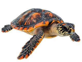 Fototapeta premium Close-up of a colorful sea turtle showcasing its vibrant shell and intricate patterns.