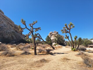 Joshua Tree Nationalpark in Kalifornien
