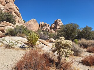 Joshua Tree Nationalpark in Kalifornien
