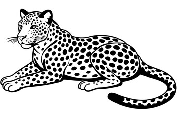 A leopard lies with its legs spread vector silhouette 