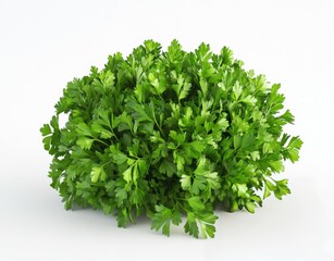 Obraz premium Fresh green parsley in a bunch arranged on a clean surface for culinary preparation