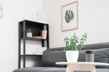 Coffee table with houseplant and air humidifier in modern living room
