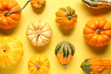 Many fresh pumpkins on yellow background