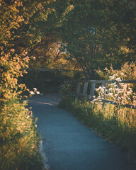 spring danish walking path with flowers and greenery