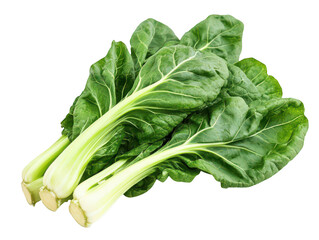 Fresh green Swiss chard leaves on a white background.