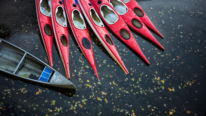 Red and Grey Kayaks in Water with Leaves