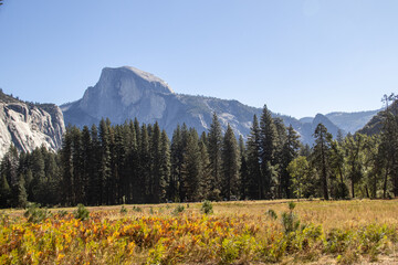 Fototapeta premium Yosemite Valley in der kalifornischen Sierra Nevada