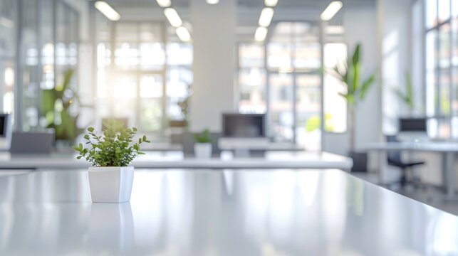 Modern Office Interior with Minimalist Design and Desk Plant