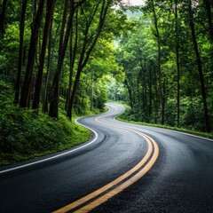 Road in the middle of the forest , road curve construction up to mountain, Rainforest ecosystem and healthy environment concept