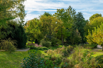 A path winds through a lush green forest on a sunny day