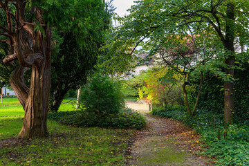 A path through a lush green garden in the fall