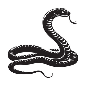 Snake silhouette  vector black color white background 