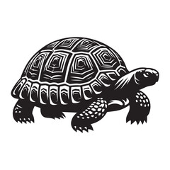 Tortoise  silhouette  vector black color white background 