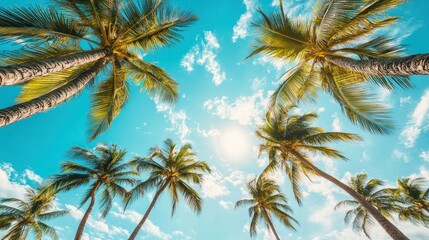 Tropical Paradise: Palm Trees Against a Bright Blue Sky