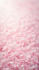 Fototapeta premium Soft pink cherry blossom petals creating a gentle airy texture
