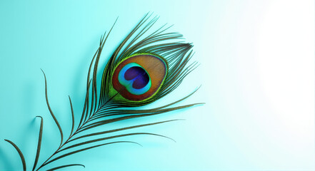 Obraz premium Close up of a peacock's tail with a white background. Copy space.