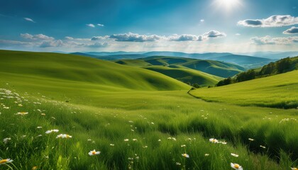 Obraz premium Panoramic view of endless grassy hills