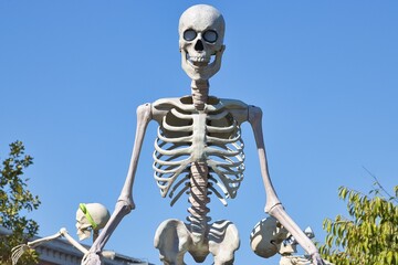 Giant skeleton in a parade with blue skies.