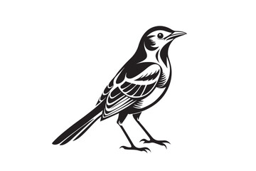 Mockingbird silhouette vector illustration, Mockingbird silhouette vector