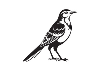 Fototapeta premium Mockingbird silhouette vector illustration, Mockingbird silhouette vector