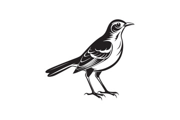 Mockingbird silhouette vector illustration, Mockingbird silhouette vector