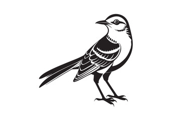 Mockingbird silhouette vector illustration, Mockingbird silhouette vector