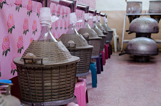 Large glass containers to produce perfume from Damask roses