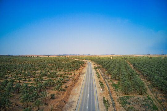 Road Passing in Between Two Fields Filled with Greenery During Daytime in AL Qassim province