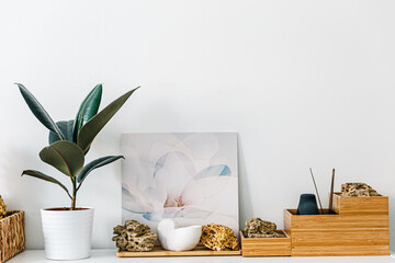 Houseplant pot on white background. Ficus plant and stones. Light wall decoration. Frame. Copy...