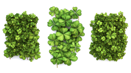 Isolated Green Lucky Clovers on Transparent Background Generative AI