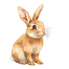 Vector of cartoon Rabbit, isolated on a white background, Rabbit vector