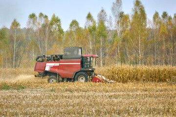 A combine harvester in a field harvests corn on an autumn day. Farmer Harvesting the Corn Crop
