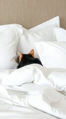 A fluffy cat nestled under a soft blanket sits comfortably on the bed in a stylish bedroom, basking in the warm morning light