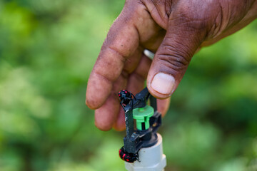 Inspecting Irrigation System