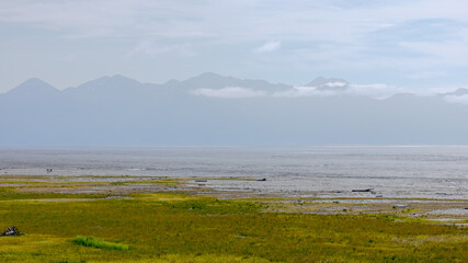 Alaska Beaches, Anchorage, Landscape, Summer