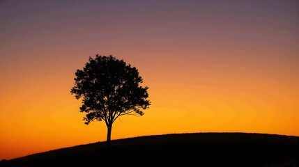 Silhouette of Tree at Sunset with Vibrant Sky in 16x9 Format