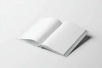 Open and closed catalogs mockup displayed on a plain solid background