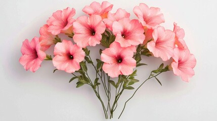 Fototapeta premium Elegant Pink Petunia Bouquet on White Background