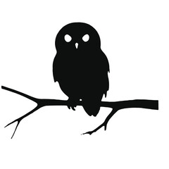 Obraz premium Shadow of the Wise: Owl Silhouette