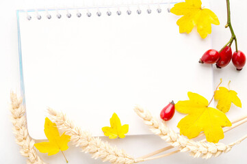 Autumn creative composition. Beautiful leaves, rose hips, dandelion and notebook on white...