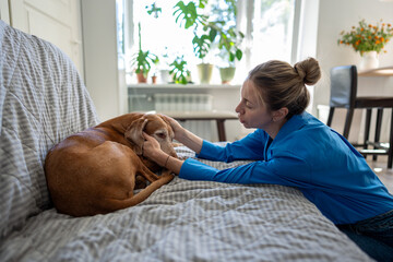 Caring middle aged woman gently pets sad-looking dog lying on sofa. Empathy, affection for domestic...